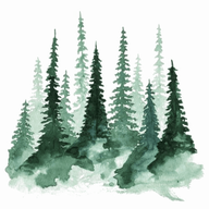 Evergreenflp.org